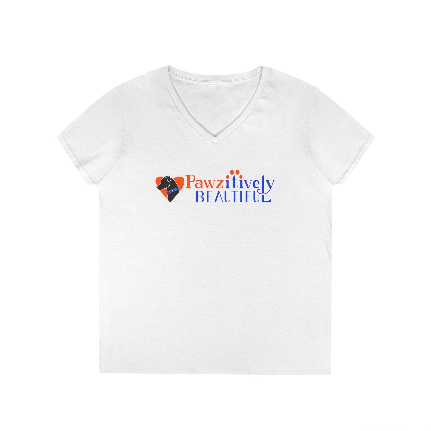 Ladies' V-Neck T-Shirt