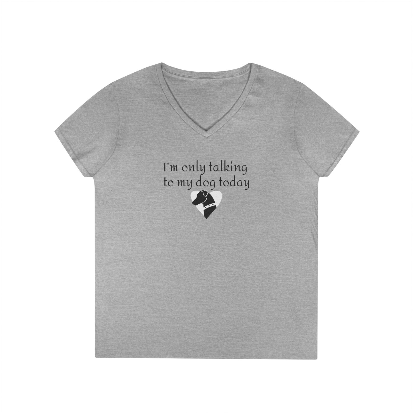 Ladies' V-Neck T-Shirt