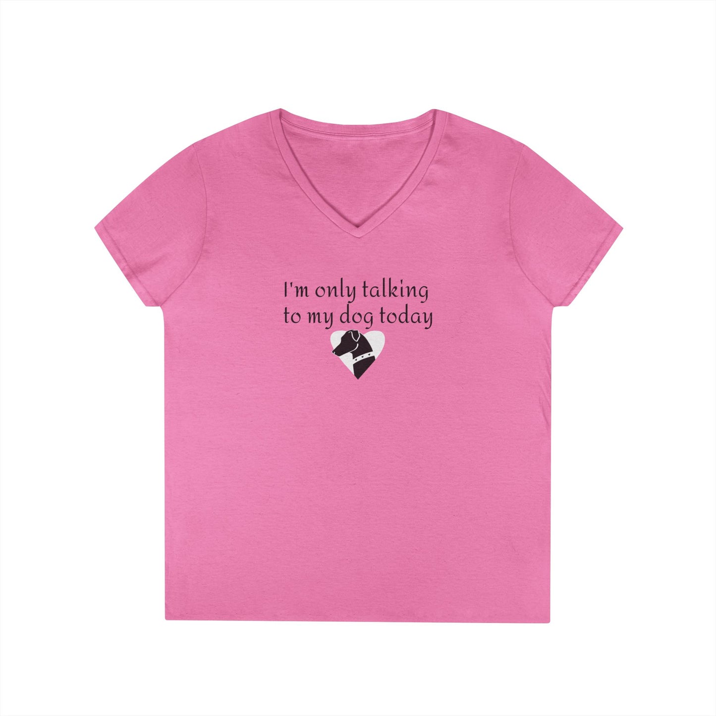 Ladies' V-Neck T-Shirt