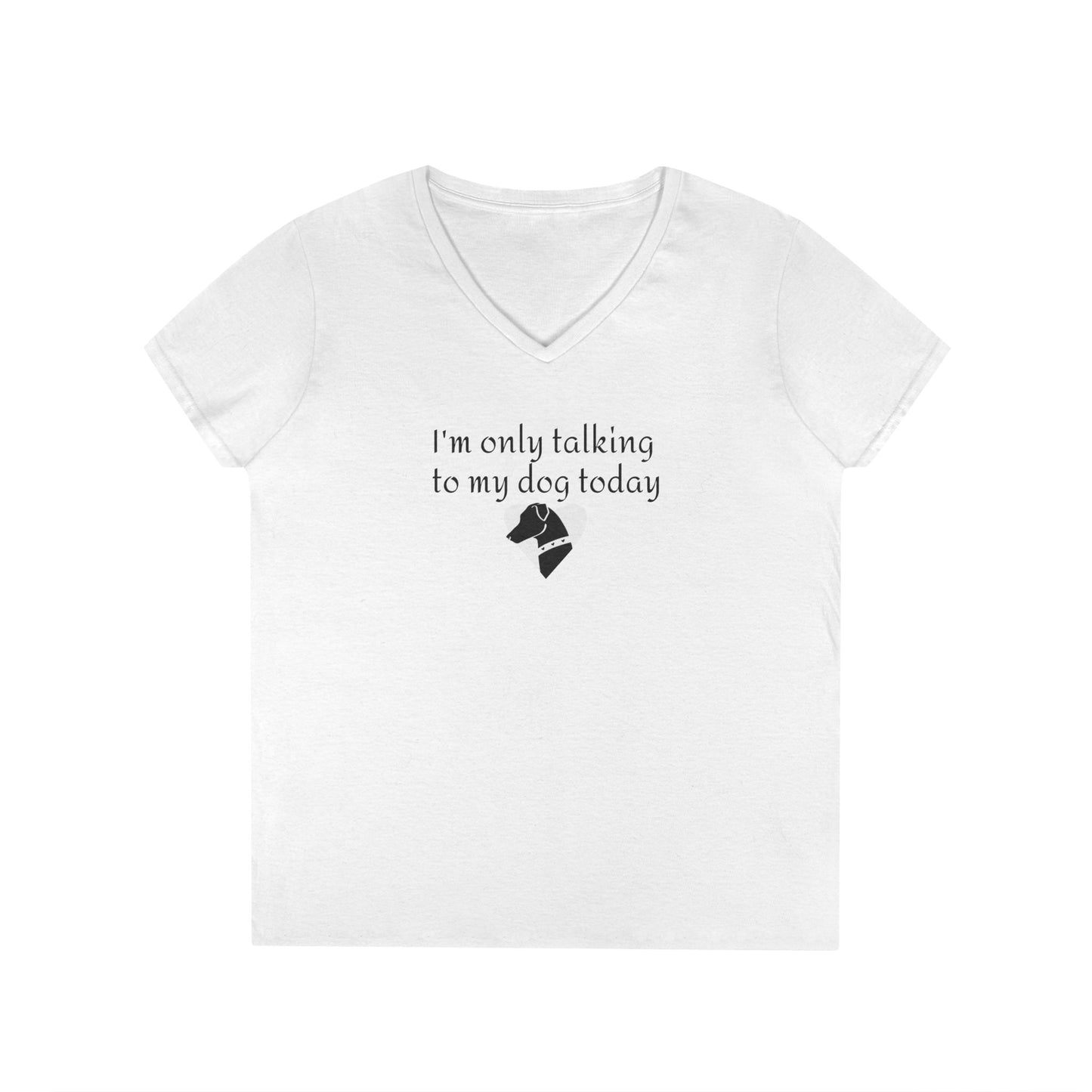 Ladies' V-Neck T-Shirt